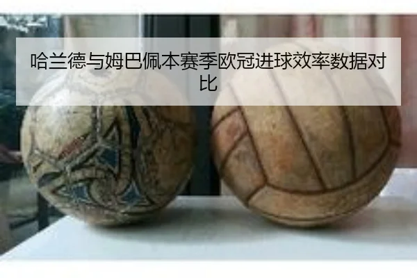 哈兰德与姆巴佩本赛季欧冠进球效率数据对比